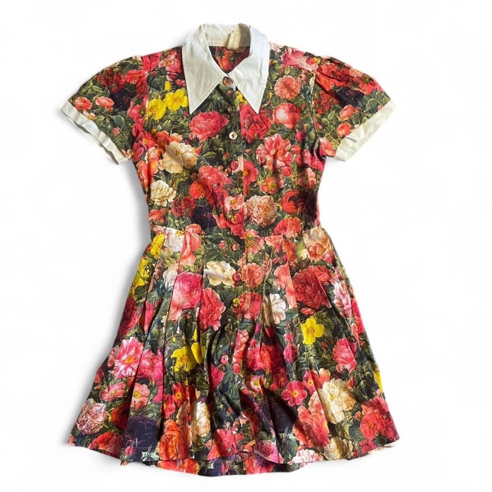 Samantha Pleet Floral Collared Mini Dress